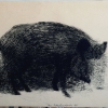6..Wild Boar,1986